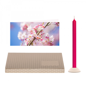 Kirschblüten  Brieflicht ( VE 5)