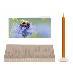 Honigbiene Brieflicht ( 1 VE = 10 Stück)